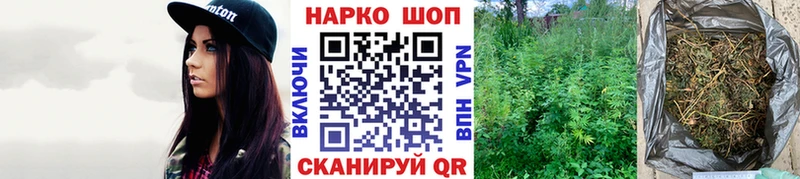 МЕФ Алагир