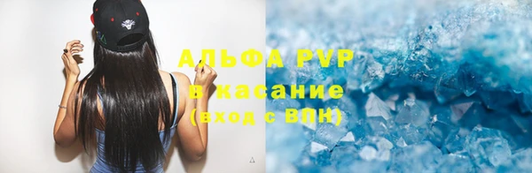 прущие грибы Абдулино