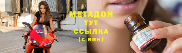 прущие грибы Абдулино
