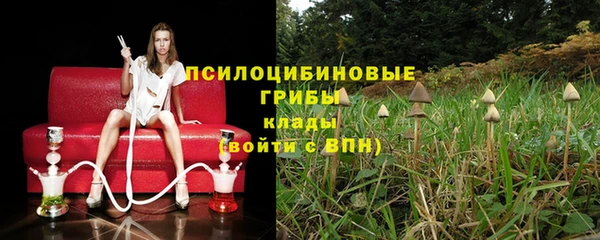 прущие грибы Абдулино